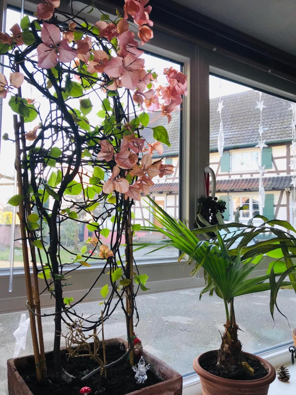 Maison D'Hotes Aux Deux Cigognes Gries Ngoại thất bức ảnh
